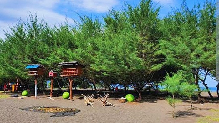 Pantai Cemara Banyuwangi