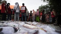 Pemerintah Kabupaten Pidie dalam hal ini Dinas Sosial sudah menarik semua petugas dan peralatan dapur umum yang selama ini melayani memasak makanan untuk kebutuhan pengungsi etnis Rohingya di komplek SMP Negeri 2 Curei.  