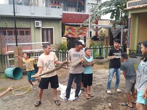 Kepanikan Korban Banjir Makassar saat Ular Sanca Masuk Pengungsian