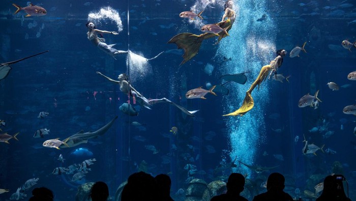 SANYA, CHINA - DECEMBER 29: Contestants wearing mermaid costumes perform during the 2022 China Mermaid Open at Atlantis resort on December 29, 2022 in Sanya, Hainan Province of China. (Photo by Luo Yunfei/China News Service/VCG via Getty Images)