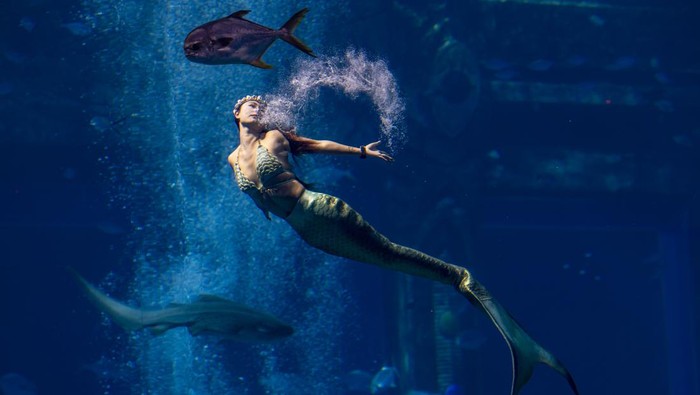 SANYA, CHINA - DECEMBER 29: Contestants wearing mermaid costumes perform during the 2022 China Mermaid Open at Atlantis resort on December 29, 2022 in Sanya, Hainan Province of China. (Photo by Luo Yunfei/China News Service/VCG via Getty Images)