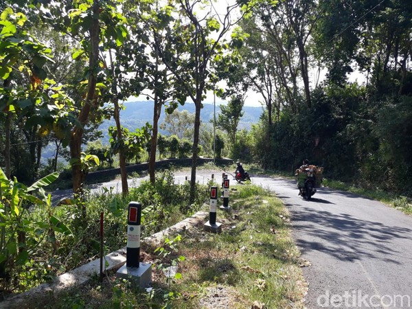 Menyusuri jalur Cinomati, detikJateng mendapati pemandangan alam yang indah. Mengingat di kanan kiri jalur tersebut banyak terdapat pepohonan rindang. Menyusuri jalur Cinomati, detikJateng mendapati pemandangan alam yang indah. Mengingat di kanan kiri jalur tersebut banyak terdapat pepohonan rindang.