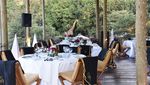 Adem! Kafe Cantik Ini Terletak di Tengah-tengah Hutan Kenya
