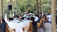 The River Cafe menggabungkan konsep alam dengan kafe modern. Untuk mencapai lokasinya, turis harus masuk ke dalam hutan yang ditumbuhi pepohonan lebat. Foto: The River Cafe