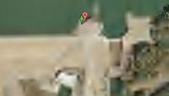 Bendungan Keowee buatan manusia di Danau Keowee di Carolina Selatan juga diburamkan di Google Maps. Berbentuk seperti pohon Natal, bendungan membantu menjalankan utilitas listrik yang disebut perusahaan Duke Energy. Foto: Google Maps via Hackread