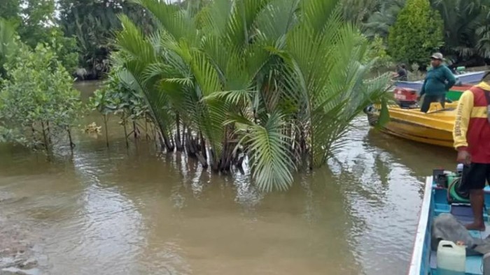 Bocah hilang diterkam buaya di Berau, Kaltim.