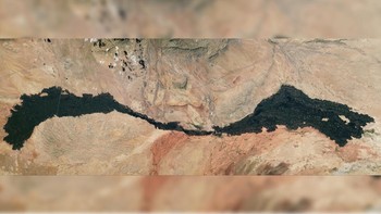 Aliran Lava Kuno: Seorang astronot di ISS mengambil foto yang menakjubkan sebuah aliran lava kuno yang membentang melintasi gurun di New Mexico. Foto: Live Science