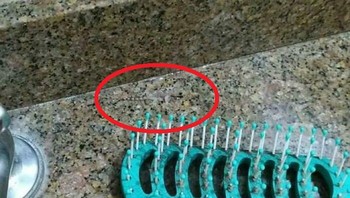 Ini dia posisimua. Foto: Boredpanda