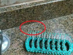 Uji Kejelian Mata Mencari Posisi Hewan Berkamuflase, Awas Terkecoh!