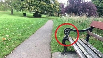 Nyaris terkecoh ya.... Foto: Boredpanda