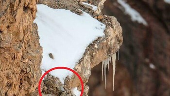 Ini dia posisinya.... Foto: Boredpanda