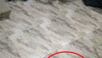 Nah ini dia.... Foto: Boredpanda