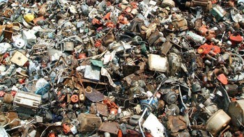 Nah coba cari kucing di foto ini.... Foto: Boredpanda