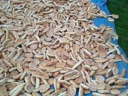 Uji Kejelian Mata Mencari Posisi Hewan Berkamuflase, Awas Terkecoh!