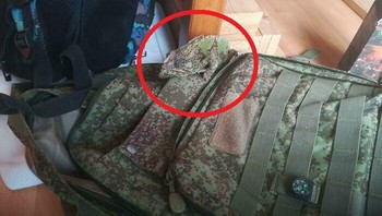 Ini dia posisinya. Foto: Boredpanda