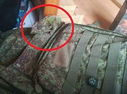 Uji Kejelian Mata Mencari Posisi Hewan Berkamuflase, Awas Terkecoh!