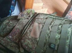 Uji Kejelian Mata Mencari Posisi Hewan Berkamuflase, Awas Terkecoh!