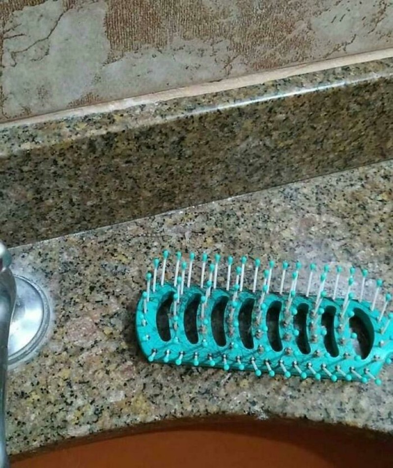 Foto hewan kamuflase kecoh mata