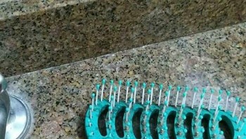 Bisa menebak cecak di foto ini. Foto: Boredpanda