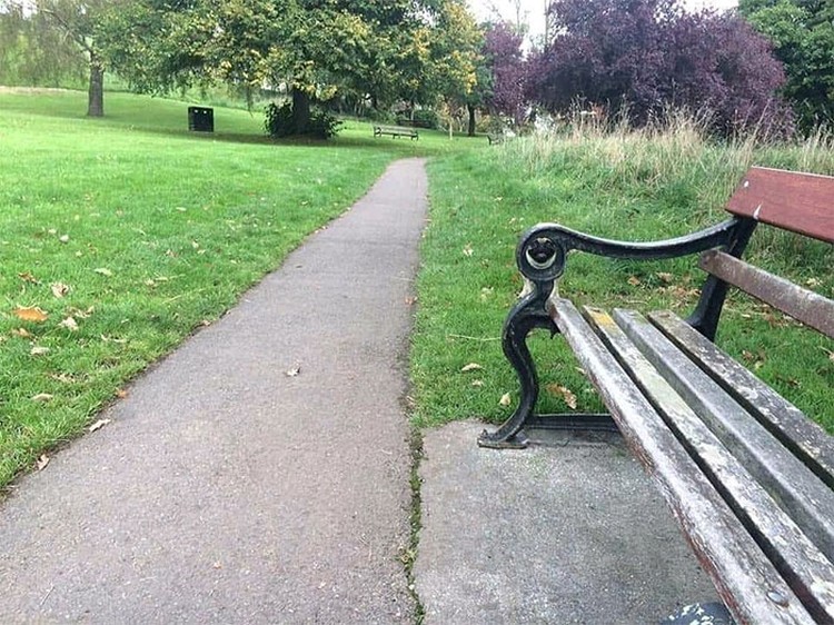 Foto hewan kamuflase kecoh mata