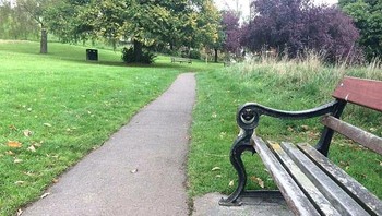 Ada yang bisa menebak posisi anjing di gambar ini. Foto: Boredpanda