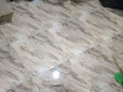 Uji Kejelian Mata Mencari Posisi Hewan Berkamuflase, Awas Terkecoh!