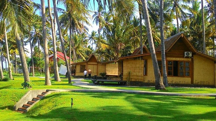 hotel di banyuwangi