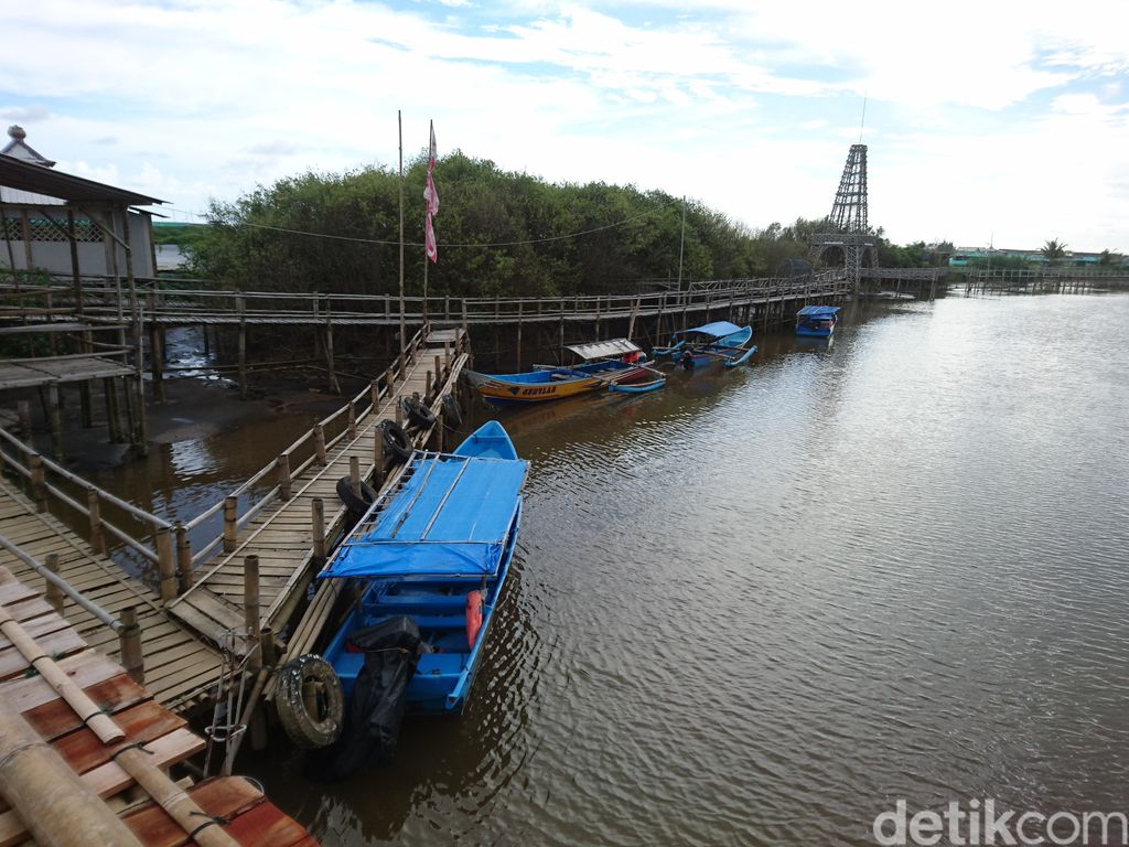 Hutan Mangrove Kadilangu