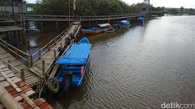 Hutan Mangrove Kadilangu