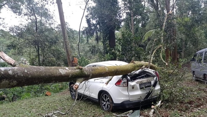 Mobil milik wisatawan tertimpa pohon di di kawasan wisata Camping Ground Selabintana, Kabupaten Sukabumi.