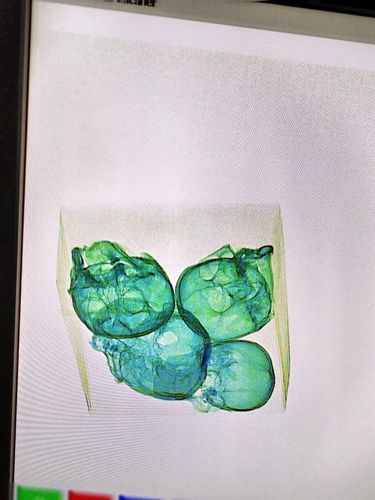 Four human skulls wrapped in plastic and aluminum foil are detected by X-ray equipment during an inspection by the National Guard inside a package bound for the United States at a courier company located at the Queretaro Intercontinental airport, in Queretaro, Mexico in this photo distributed on December 30, 2022. Mexico's Guardia Nacional/Handout via REUTERS