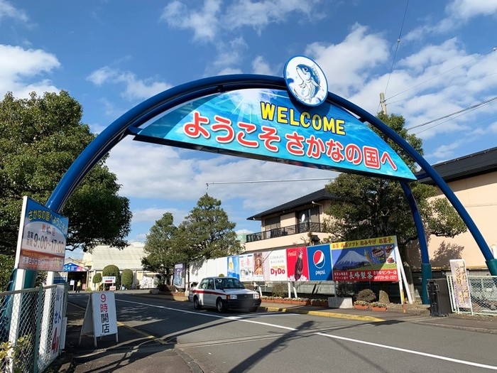 pasar ikan jepang pasar ikan jepang