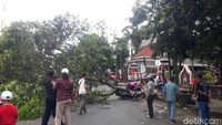 6 Pohon Tumbang-3 Kendaraan Tertimpa, Angin Kencang Hantui Malang Raya