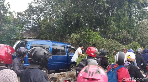 Pohon tumbang singosari