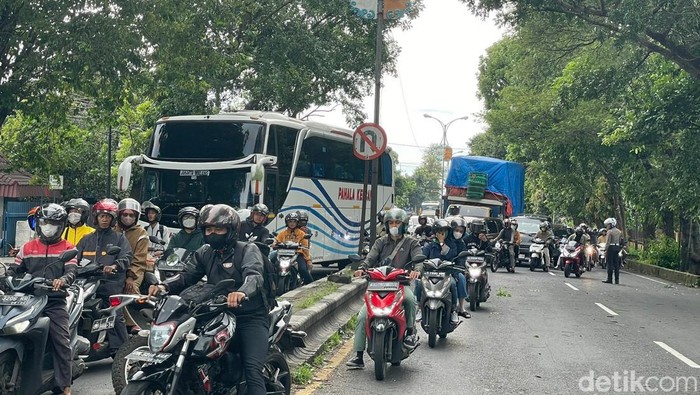 Pohon tumbang Singosari