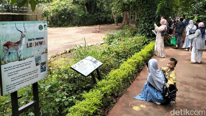 Suasana Kebun Binatang Bandung.