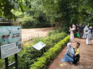 Jelang Penyegelan, Plh Walkot Pastikan Bunbin Tidak Beralih Fungsi