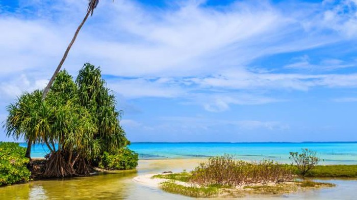 Lokasi geografis negara dunia yang berbeda-beda turut menentukan waktu perayaan pergantian tahun. Berikut negara yang rayakan tahun baru pertama dan terakhir.