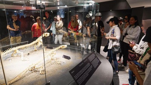 Wisatawan melihat dua rangka komodo di Niang Komodo di Loh Buaya, Pulau Rinca, TN Komodo. (Foto: Istimewa)