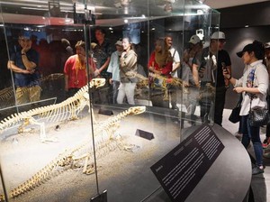 ASITA dan Astindo Keluhkan Kenaikan Tarif Wisata di TN Komodo