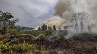 Berdasarkan data BPBD setempat, kebakaran hutan dan lahan di wilayah tersebut mencapai 27 hektare lebih dan telah berlangsung selama tiga hari dengan sejumlah titik lokasi berbeda.