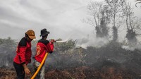 Sebanyak 11 hektare lahan diantaranya berhasil dipadamkan oleh tim gabungan TNI, Polri, BPBD, PMI Kobar dan para relawan.