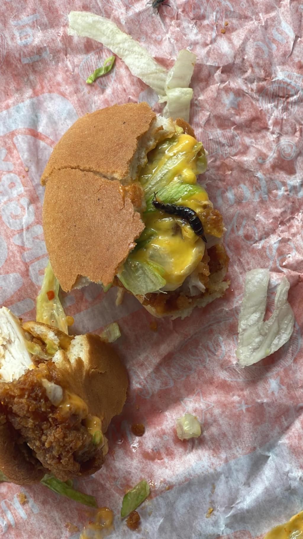 Beli Burger di Resto Populer, Pelanggan Kecewa Usai Temukan Serangga
