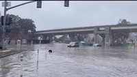 Banjir terjadi akibat hujan deras.