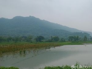 Sawah Klaten Selalu Terendam Sejak 50 Tahun Lalu Pernah Dicek Ganjar