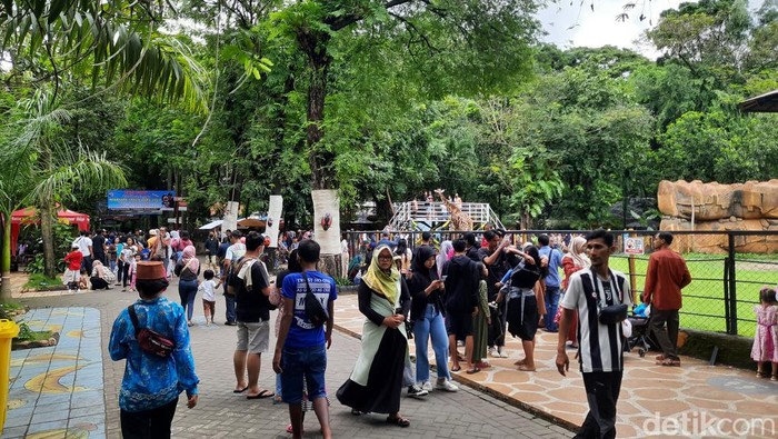 Libur tahun baru KBS