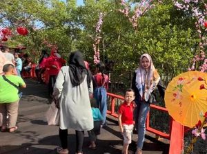 Indahnya Hutan Bakau Bernuansa Jepang yang Instagramable di Batu Bara