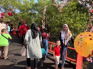 Indahnya Hutan Bakau Bernuansa Jepang yang Instagramable di Batu Bara