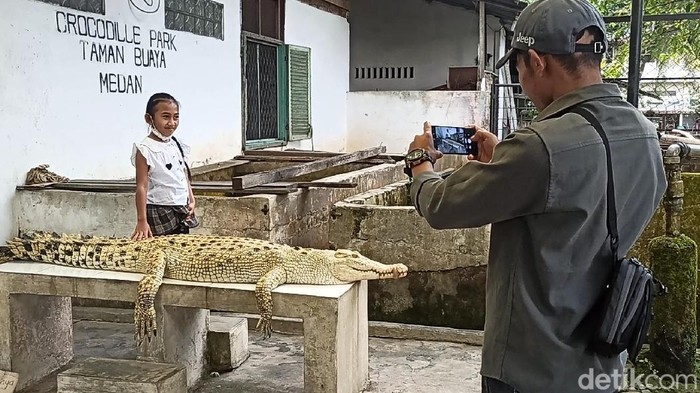 Pengunjung saat berfoto di Taman Buaya Asam Kumbang Medan. (Kartika Sari/detikSumut)