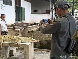 Libur Lebaran, Yuk ke Penangkaran Buaya Asam Kumbang Medan!